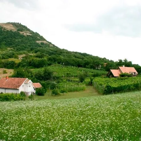 Csobanc Szerelem-nemzeti Park-oenallo Haz - Klimatizalt Prázdninový dům Gyulakeszi