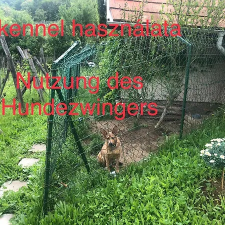 Csobánc Szerelem-nemzeti Park-önalló Ház - Klimatizált * Gyulakeszi