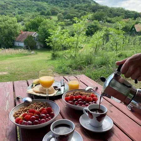 Csobánc Szerelem-nemzeti Park-önalló Ház - Klimatizált * Gyulakeszi