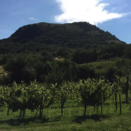 Csobánc Szerelem-nemzeti Park-önalló Ház - Klimatizált *