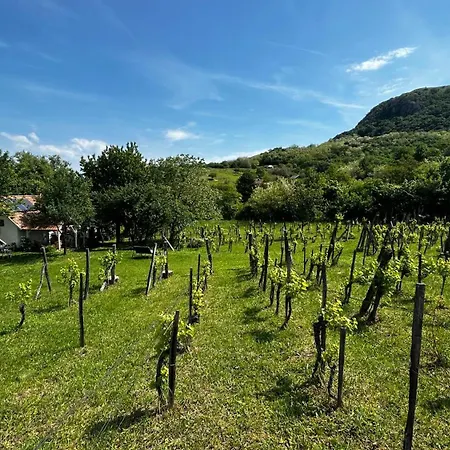 Csobánc Szerelem-nemzeti Park-önalló Ház - Klimatizált