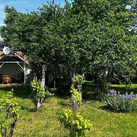 Csobánc Szerelem-nemzeti Park-önalló Ház - Klimatizált Gyulakeszi